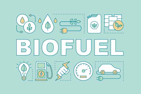 Exonération fiscale sur carte grise des véhicules au bioéthanol