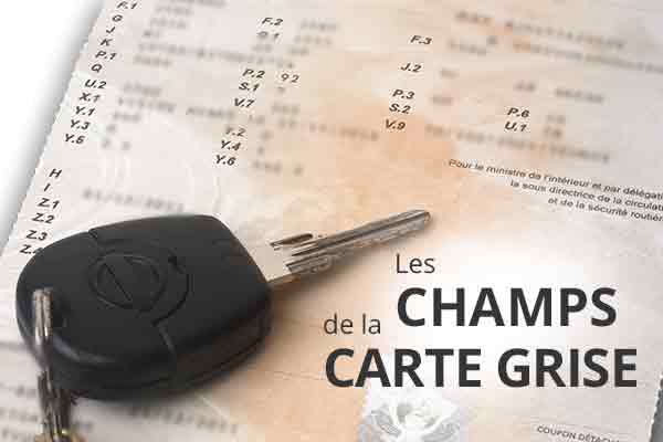 Les champs de la carte grise 