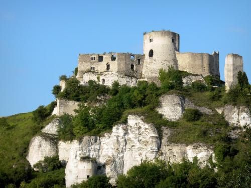 carte grise Les Andelys