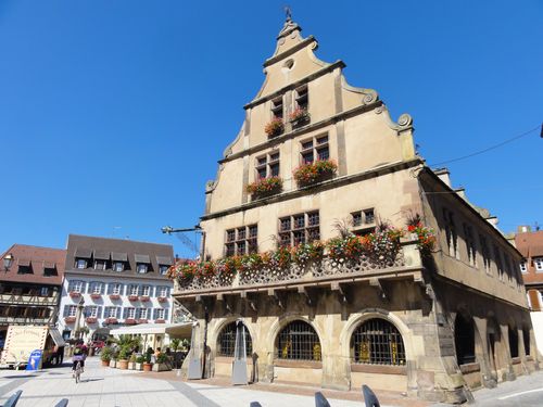 carte grise Molsheim